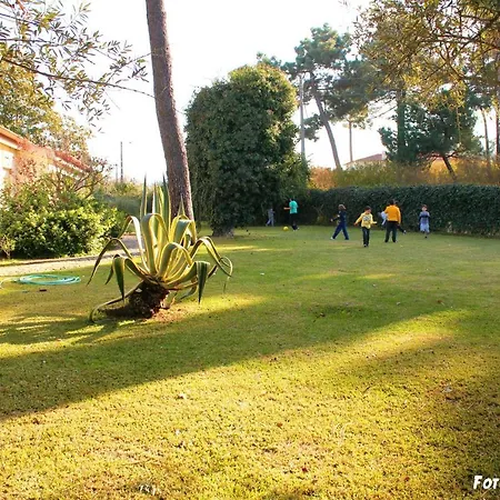 With 6 Bedrooms In Brejos De Azeitao, With Wonderful Mountain View, Private Pool, Enclosed Garden - 12 Km From The Beach *