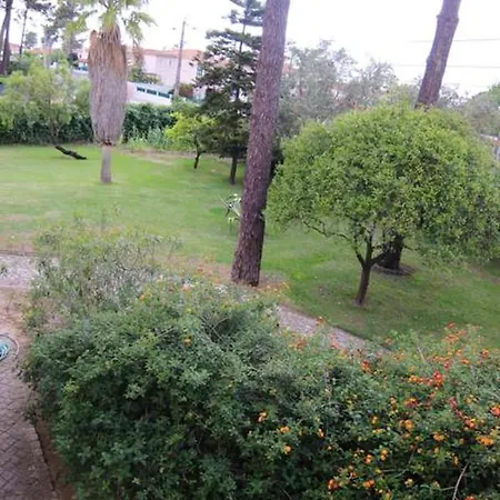 With 6 Bedrooms In Brejos De Azeitao, With Wonderful Mountain View, Private Pool, Enclosed Garden - 12 Km From The Beach Villa *